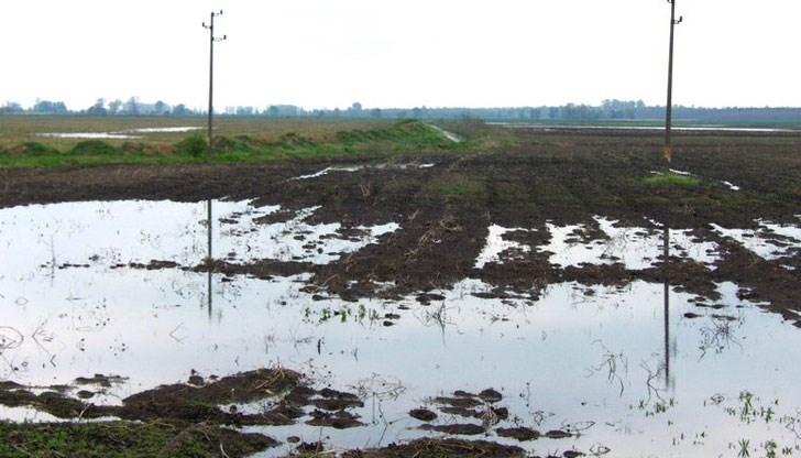Миналия месец бе обявено бедствено положение в Тутраканската община заради залети с подпочвени води земеделски земи край Дунав