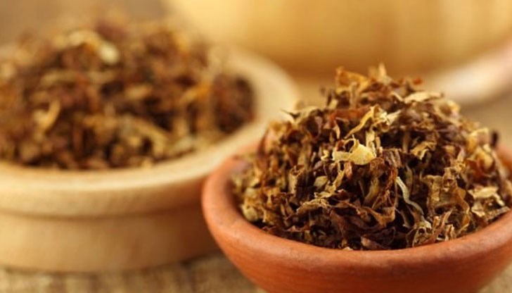 Това са инфекциите, причиняващи златистия стафилокок, енцефалита и даже ХИВ Това са инфекциите, причиняващи златистия стафилокок, енцефалита и даже ХИВ