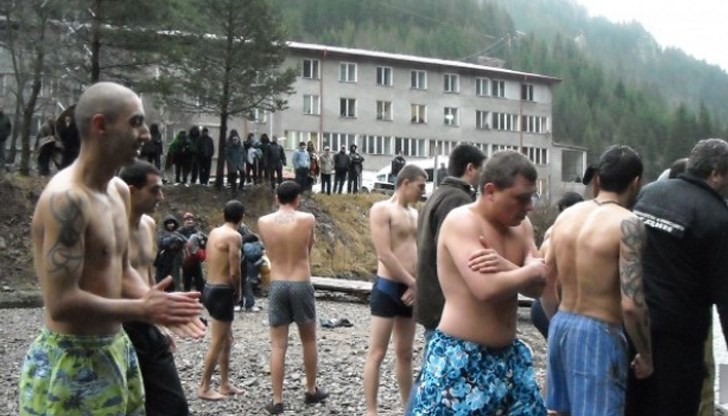 Млекарите "по неволя" са докарали печалба от 100 000 лева за миналата година