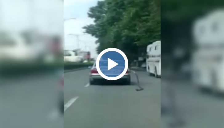 Шофьорът се движи по оживен булевард и изобщо не забелязва маркуча