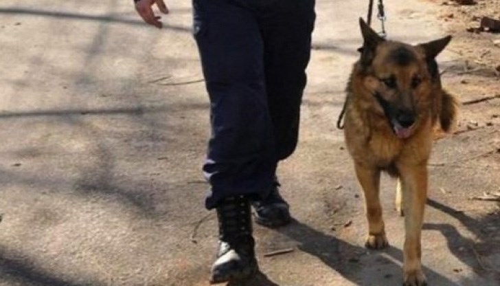 Наркотикът е открит с помощта на обучено куче