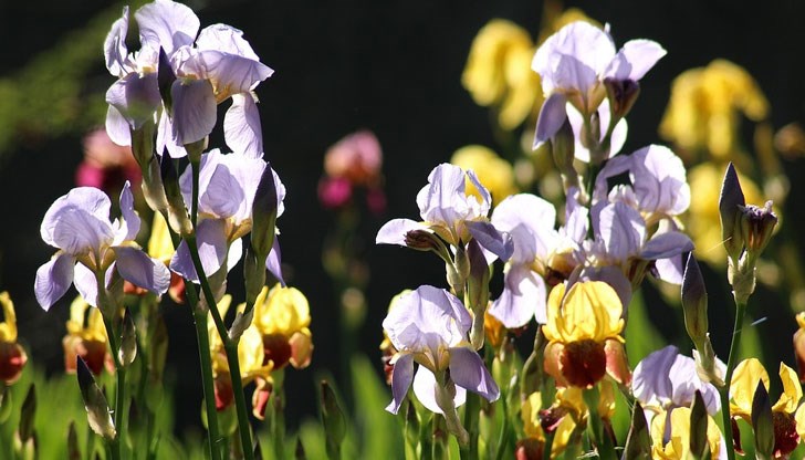 Очакват ли се валежи в следващите дни Очакват ли се валежи в следващите дни