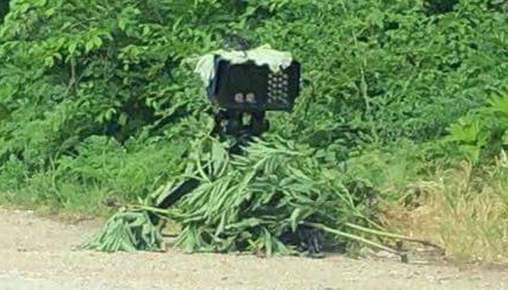 Изобретателността на пътните полицаи нараства със всеки изминал ден