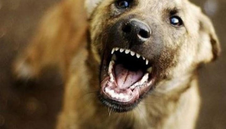 На виковете за помощ се отзовал единствено съсед, който спасил живота на детето