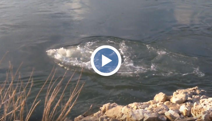 Сигналите за неприятни миризми в село Бръшлен били неоснователни