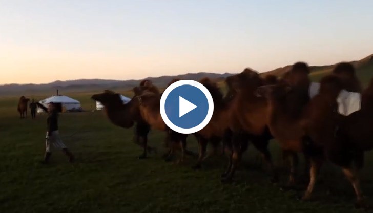 Авантюристката ще мине и през България