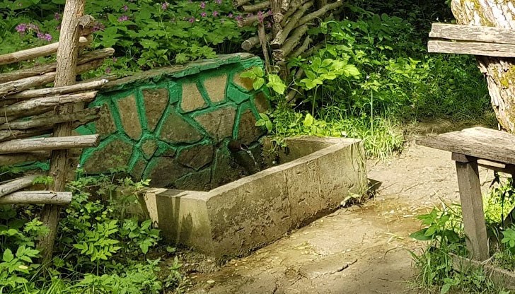 През април са регистрирани 55 случая на чревни инфекциозни заболявания През април са регистрирани 55 случая на чревни инфекциозни заболявания