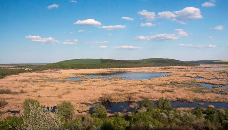 Актовете са връчени на виновните лица Актовете са връчени на виновните лица