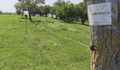 Слагат електропастир по сухоземната граница между България и Румъния