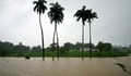Бурята Алберто взе 7 жертви в Куба