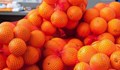 Защо портокалите се продават само в червени мрежи?