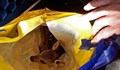 Гъбари опитаха да продадат новородена сърничка