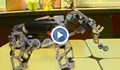 Ученици от Русе конструираха роботи за деца със специални потребности