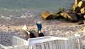 Установиха самоличността на жената, която се е удавила край Поморие
