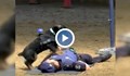 Полицейско куче прави сърдечен масаж