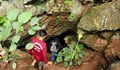 Цял футболен отбор изчезна в пещера в Тайланд