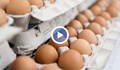 Изтеглят от пазара яйцата от птицефермата в Дончево