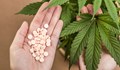 Португалия легализира лекарства, съдържащи марихуана