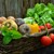 Учени предупреждават: Зеленчуците изчезват