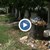 Кой е виновен за камарите с боклук в гробищен парк „Чародейка“?