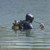 Водолази ще търсят тялото на изчезналия плувец