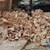Бурен вятър срути стена в Пловдив