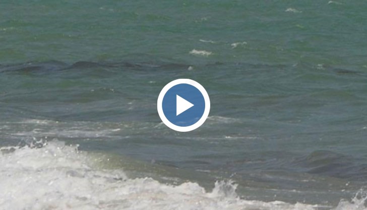 Как да разберем дали морето крие опасности?