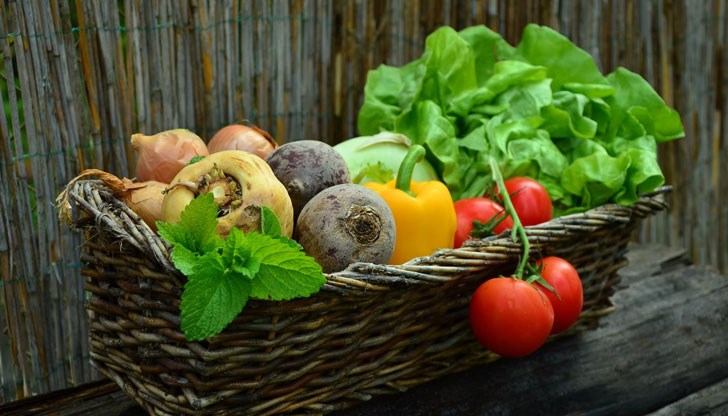 Зеленчуците ще се срещат по-рядко навсякъде на нашата планета, ако не бъдат отгледани по-резистентни видове