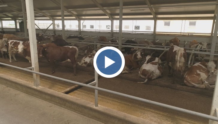 Кандидати за апетитната позиция, обаче, няма