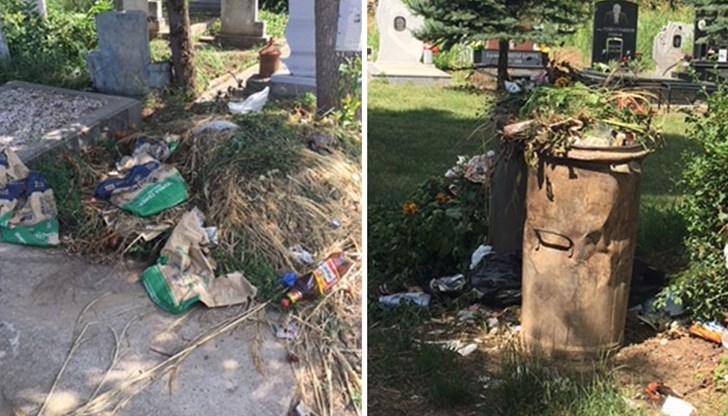 Има ли Общината план за реновиране и преасфалтиране на алеите в парка?