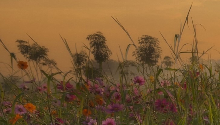 Количеството на парниковия газ се е увеличило с 26% за последните 50 години Количеството на парниковия газ се е увеличило с 26% за последните 50 години