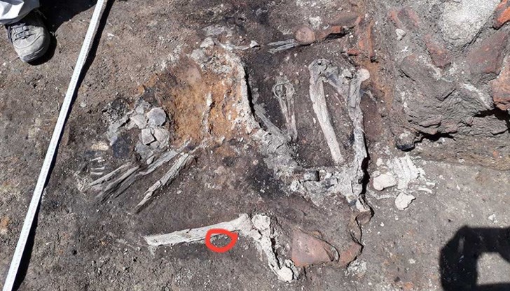 Български археолози откриха останки от трима души, убити през 251 година