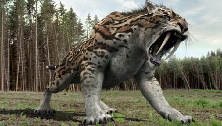 Костите им се срещат единствено у нас и в Китай