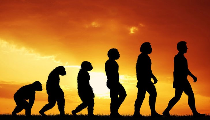 Възможно ли е теорията за еволюцията да не важи за модерния човек?