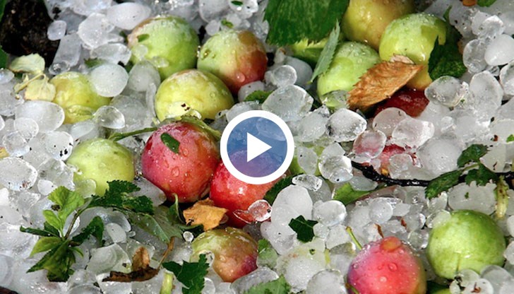 Порои и градушки - какви са условията да бъдем компенсирани