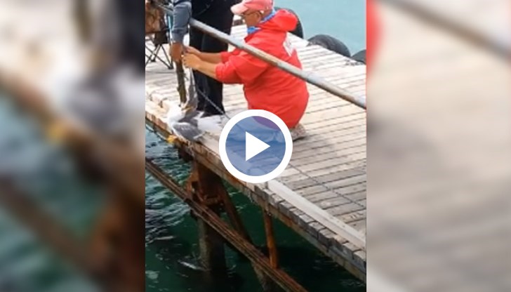 Никой от присъстващите рибари не пожелал да помогне