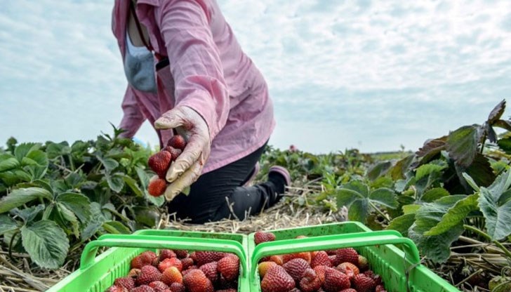 Българите искат да работят за повече пари Българите искат да работят за повече пари