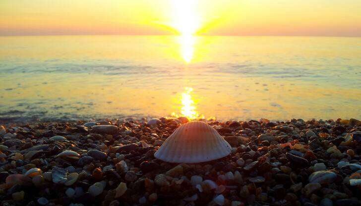 Утре в 13 часа и 7 минути започва астрономическото лято