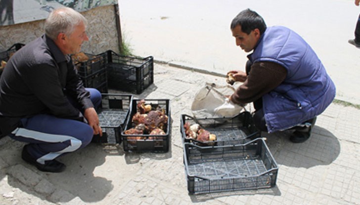 Безработни си изкарват до 100 лева на ден