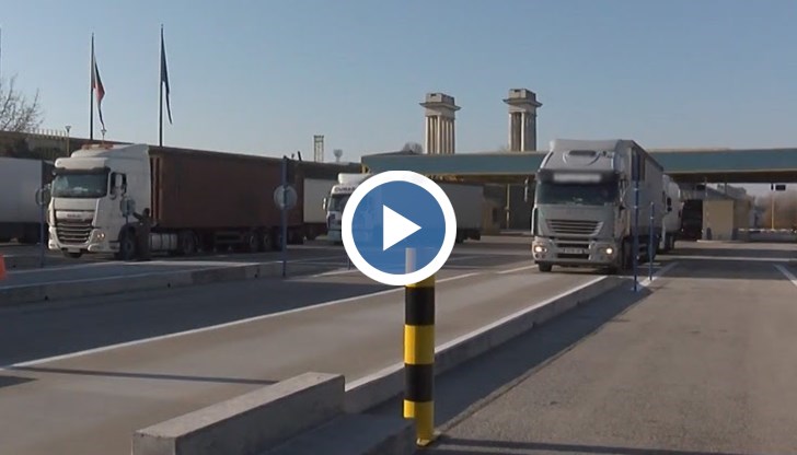 Огнища на африканска чума по свинете са открити в северната ни съседка