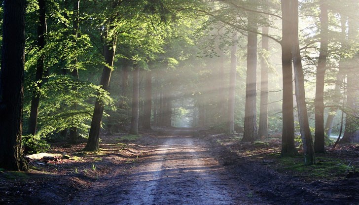 На отделни места ще превали и прегърми На отделни места ще превали и прегърми