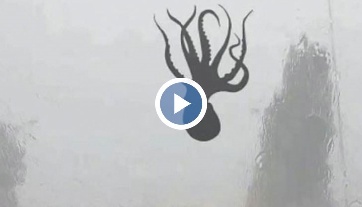 Шокиращи кадри от мощния ураган в Китай