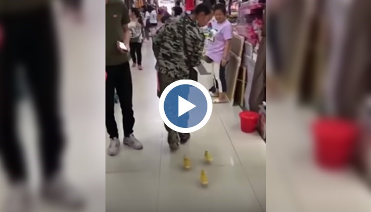 Животинките вървят плътно след своя стопанин