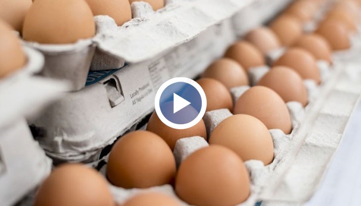 Над 1 милион яйца с номера 2BG08001 и 3BG08001 се унищожават заради опасността от зараза с птичи грип
