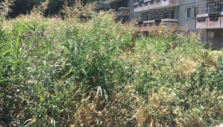 Университет с име, иновации, безброй успехи и успешни студенти, а около общежитията му безобразни дупки, високи треви и мръсотия