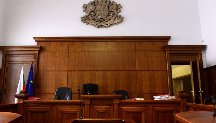 Убийството на пинчер и котка е станало пред очите на дете