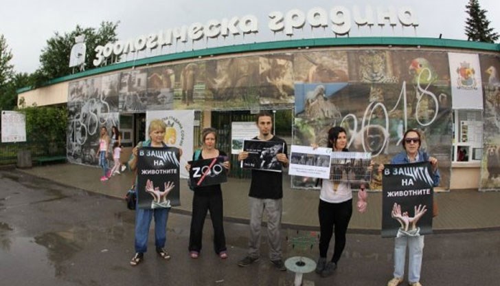 Протестиращите искат животните да бъдат пуснати и настанени в защитени паркове на голяма площ