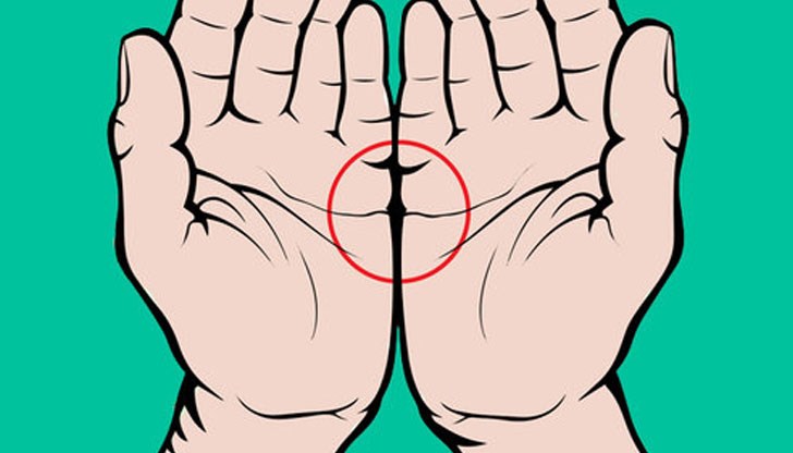 Как са разположени линиите на сърцето върху дланите?