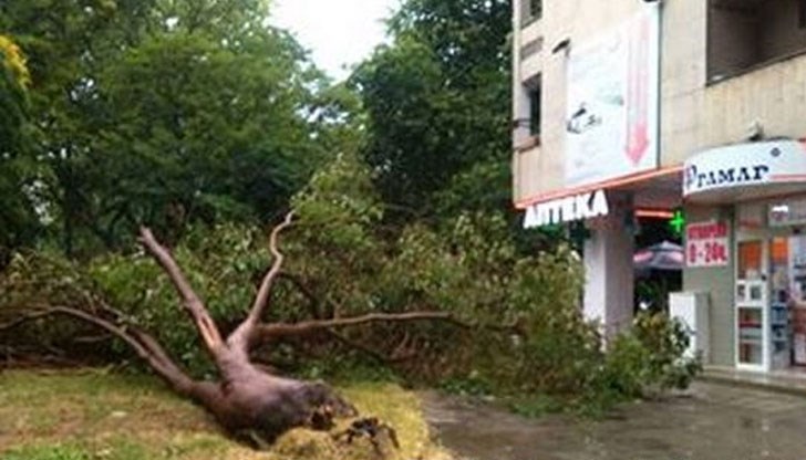 Пострадалата е откарана с линейка към Спешния център Пострадалата е откарана с линейка към Спешния център