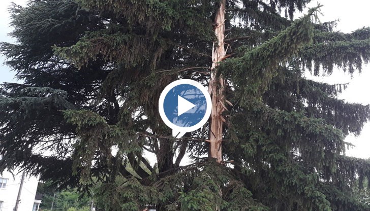 Мълнията е паднала на метри от кметството в града